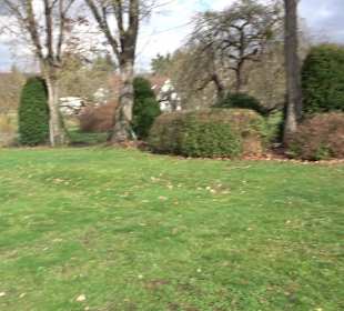 Friedhof Frickenhausen