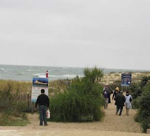 Cap Ferret