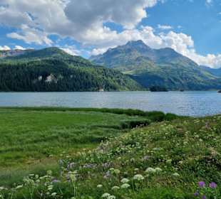 Silsersee