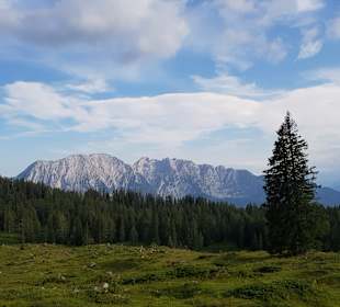 Wandern Bad Mitterndorf