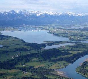 Forggensee und Alpen