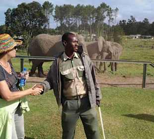 Knynsa Elephant Park