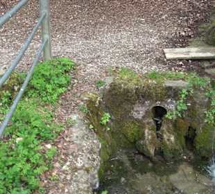 Wandertour durchs Reissenbachtal Oberhausen