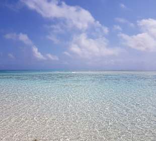 Mnemba Island