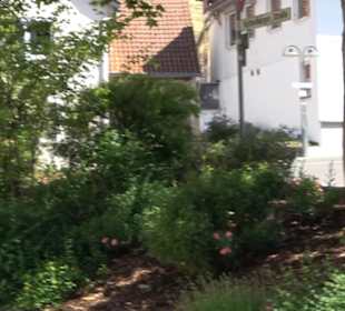 Kelterkirche Reusten