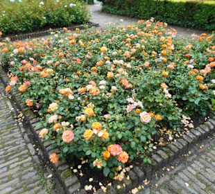 Schloßpark Kasteeltuinen