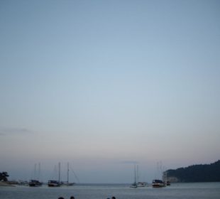 Moonlight Park