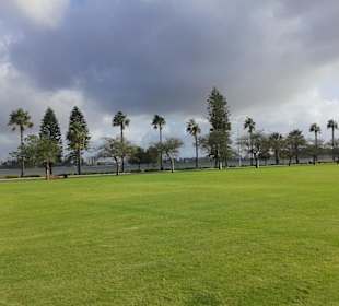 Swan River