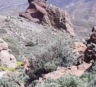 Teide Nationalpark