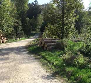 Bussen Schöpfungsweg Offingen