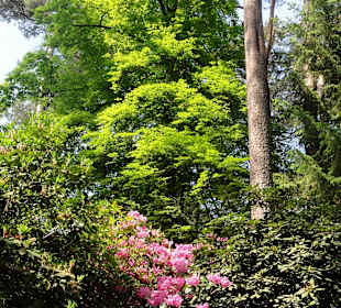 Impressionen vom Rundweg durch den Park