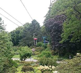 Z wagonika kolejki linowej