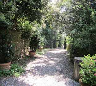 Garten und Villa Garzoni in Collodi