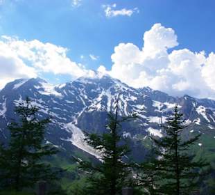 Baumgrenze erreicht