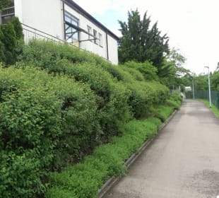 Precizer Haus Haiterbach