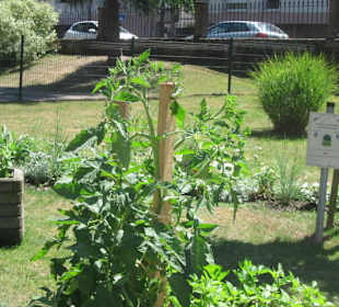 Niederbronn les Bains