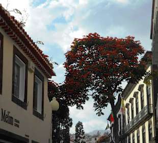 Funchal