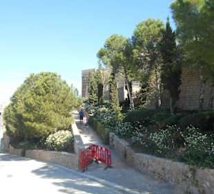 Park Torres