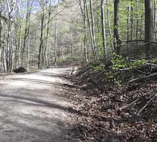 Wanderweg Hochgehkämpft