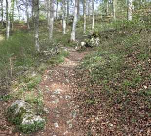 Wanderweg Hochgehswiggert