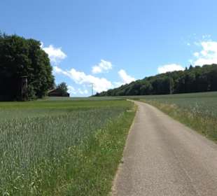 Burg Hölnstein Stetten u. Holstein