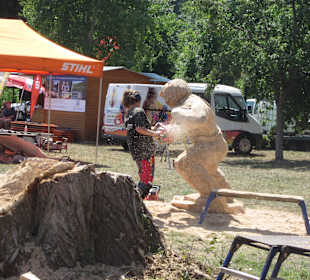 Kreativ Kettensägen am Rhein