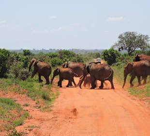 Tsavo Ost Nationalpark