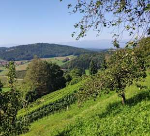 Blick Waldschach Koralpe