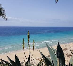 Strand Playa de Esquinzo / Playa de Butihondo