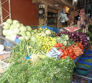 Punta Cana auf Deutsch - einfach schöne Ausflüge
