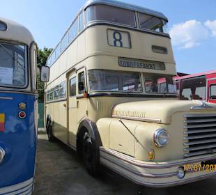 Busse