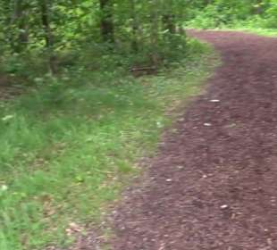 BarfussPark Hallwangen