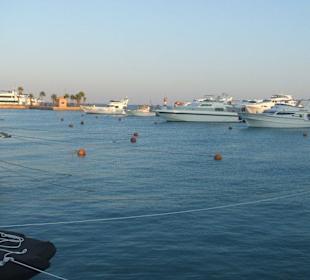 New Marina