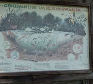 Kurpark Bad Niedernau