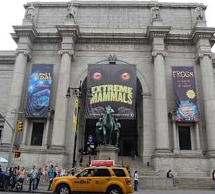 Museo de Historia Natural