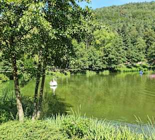 Kurpfalz-Park - Tretboot