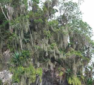 Nationalpark Los Haitises
