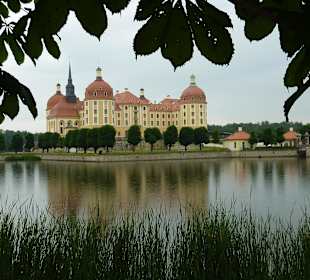 Schloß Moritzburg