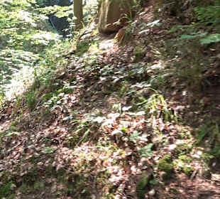 Griesbacher Wasserfälle Bad Griesbach