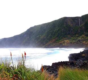 Inselrundfahrt Faial