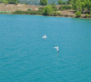 Mapinar Baraji / Stausee Green Lake & Green Cany