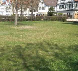 Stele Franziska von Hohenheim