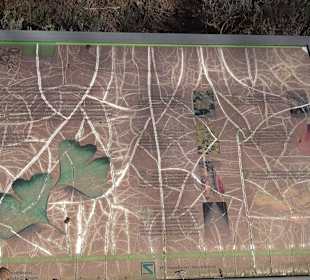Apothekergarten Ettlingen