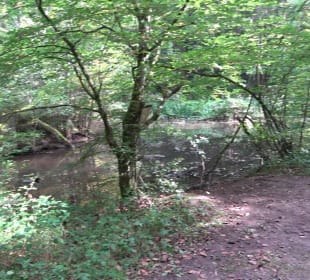 Hummelklingensee Walddorf