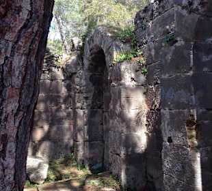 Alte Römerstadt in Mitten des Waldes