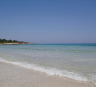 Strand von Sa Coma