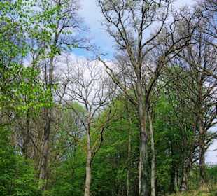 Zuweg zum Bitterbach