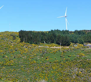 Hochebene Paul da Serra, Levada do Bica da Cana