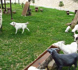 Evrenseki Kulturhaus 