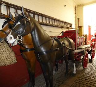 Hier hatt man die Gäule wieder eingfangen